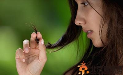 小编教你头发分叉怎么<a href='http://www.bjxxg.cn/baby/huli/' target='_blank'><u>护理</u></a> 拥有一头乌黑长发不是梦
