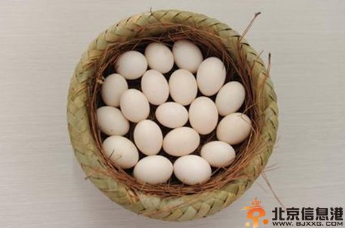 鸽蛋的营养价值分析 注意适用人群很重要