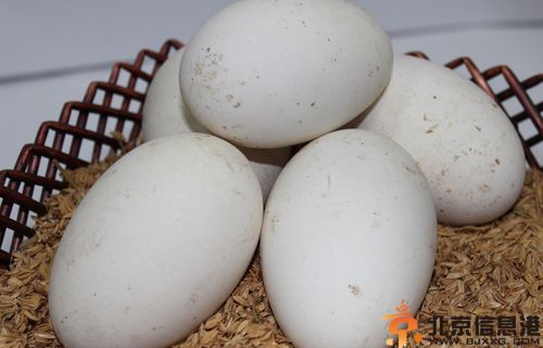 鹅蛋的营养价值有哪些 了解食物相克忌与鸡蛋同食