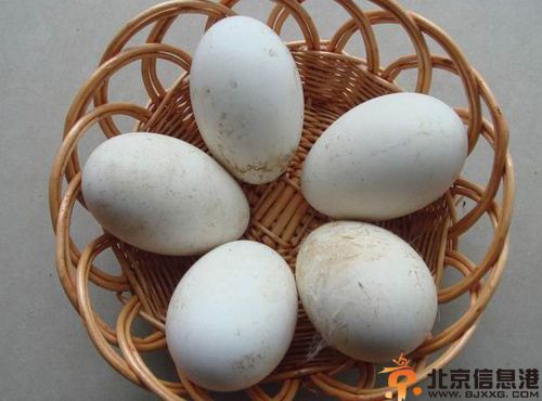 鹅蛋的营养价值有哪些 了解食物相克忌与鸡蛋同食