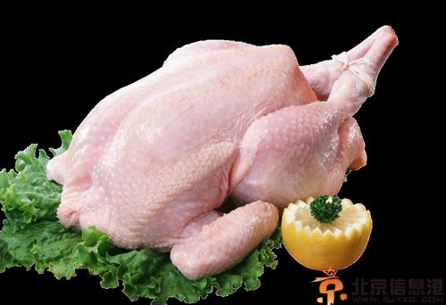 揭鸡肉的营养价值 温中益气好食材