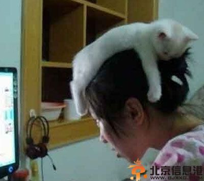 二货汪星人的搞笑图片 洗澡后的汪好性感