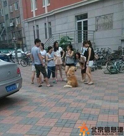 刷新三观的亮点图 邪恶的我再也无法面对这个纯洁的世界