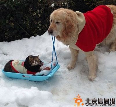 搞笑图片店家好贴心 别把媳妇和丢啦
