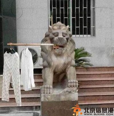 不忍直视的内涵亮点图 这个姿势真的好吗