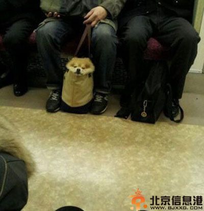 亮点图人老心不老 包里没个六七万都不敢出门