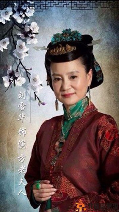 电视剧深宅雪演员表剧情 因印染秘方引起的故事