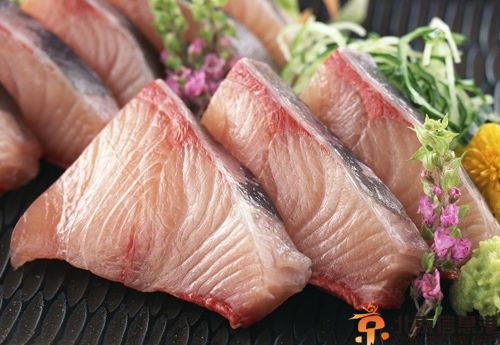 鱼肉的营养价值分析 肉质细嫩鲜美营养丰富