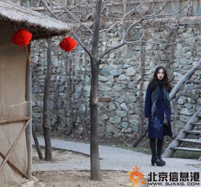 微爱之渐入佳境什么时候上映 陈赫杨颖主演