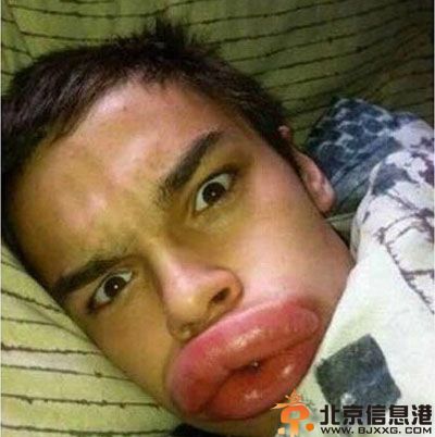 亮点图珍爱生命 远离蜜蜂远离笑话