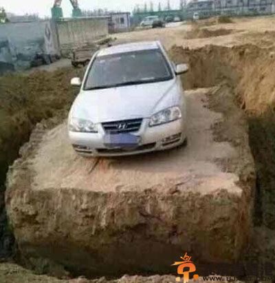 亮点图珍爱生命 远离蜜蜂远离笑话