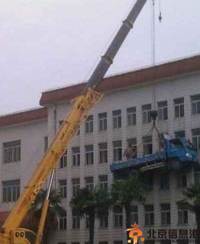 亮点图珍爱生命 远离蜜蜂远离笑话