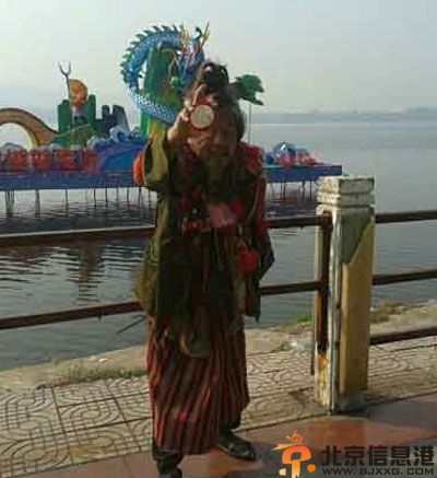 亮点图珍爱生命 远离蜜蜂远离笑话