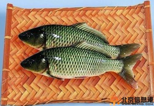 盘点鲫鱼的<a href='http://www.bjxxg.cn/baby/yingyang/' target='_blank'><u>营养</u></a>价值 和中补虚好食材