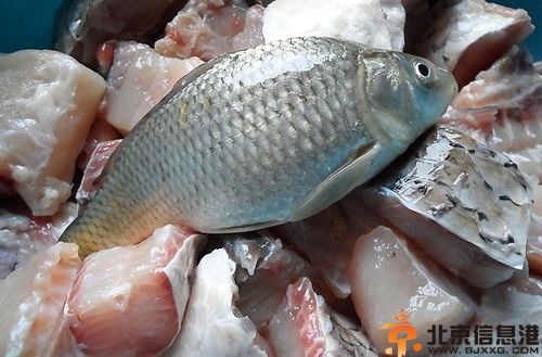 盘点鲫鱼的营养价值 和中补虚好食材