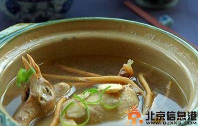 鸽子肉的功效与作用分析 可滋肾益气祛风解毒