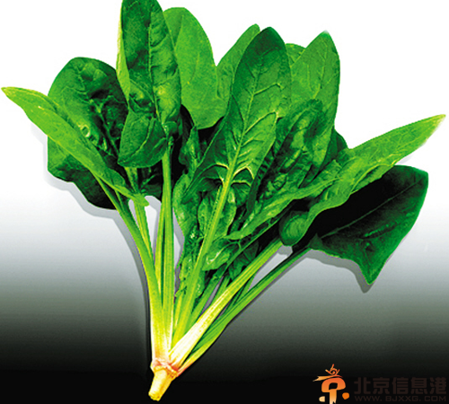 秋冬美味减肥蔬菜 瘦身与美肤同时进行