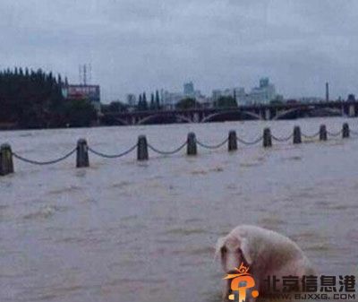 搞笑图片女有齐B短裙 男有齐蛋短裤