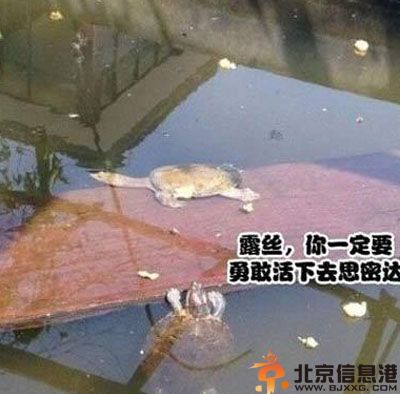 内涵亮点图送福利 这个雕像我有点看不懂
