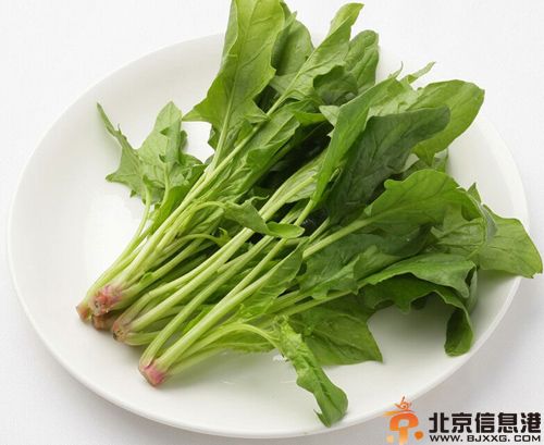 菠菜的<a href='http://www.bjxxg.cn/baby/yingyang/' target='_blank'><u>营养</u></a>价值分析 解析其功效及使用人群