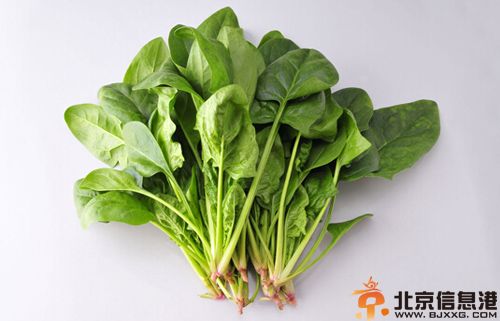 菠菜的营养价值分析 解析其功效及使用人群