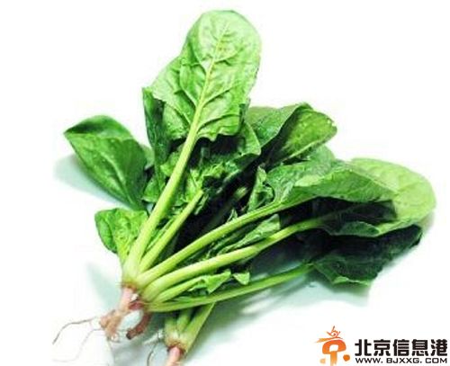 菠菜的营养价值分析 解析其功效及使用人群