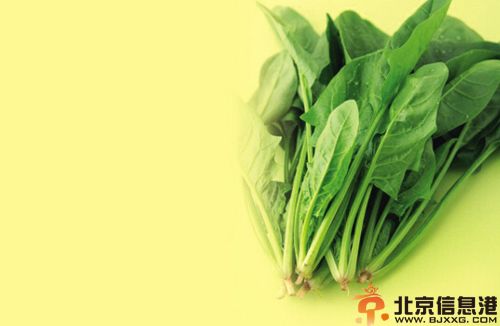 菠菜的营养价值分析 解析其功效及使用人群