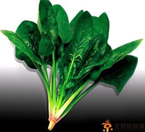 菠菜的营养价值分析 解析其功效及使用人群