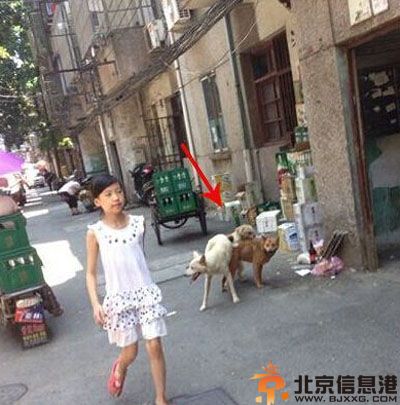 内涵笑话论怎样上头条 请叫我雷锋