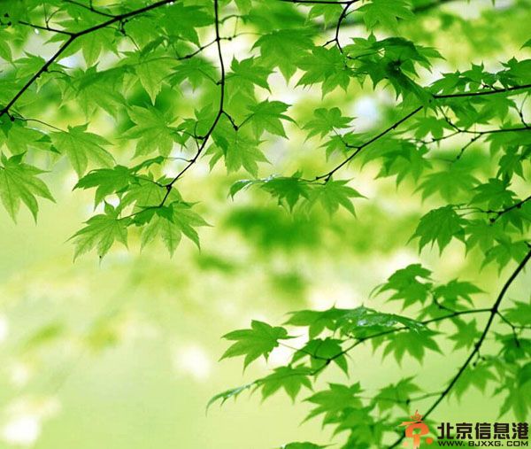 2014双子座运势解析 事业爱情财运看这里