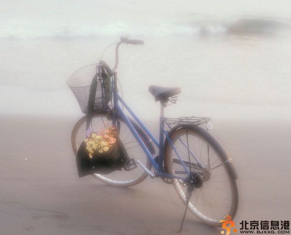 2014处女座运势解析 分析处女座的全面运程