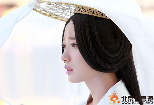 电视剧大汉贤后卫子夫分集剧情介绍演员表（1-47）全集大结局