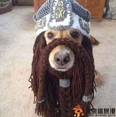 亮点图屌丝的世界你不懂 姿势太美我不敢多想