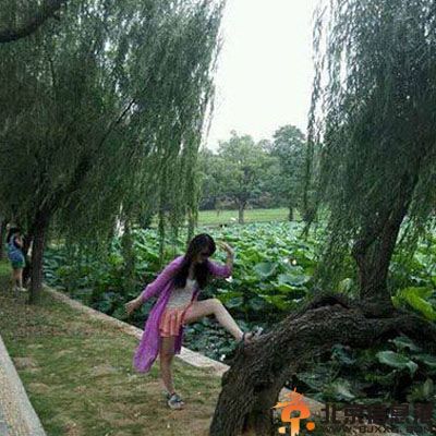 有亮点的体检表图片 生殖器无是几个意思