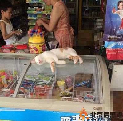 有亮点的体检表图片 生殖器无是几个意思