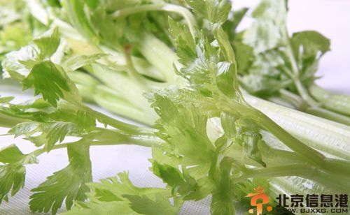 芹菜的营养价值分析 解析其两大食疗功效