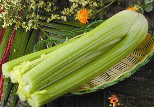 芹菜的营养价值分析 解析其两大食疗功效