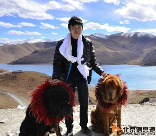 中国好声音高磊个人资料微博 系苹果园组合成员