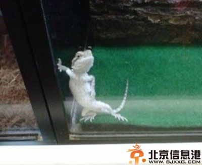 美女内涵图你懂的 妹纸到底是经历了什么