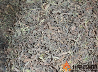 中草药板蓝根功效有哪些 盘点板蓝根的功效和作用