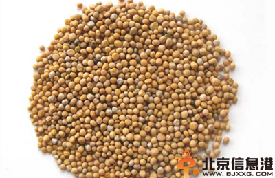 中草药白芥子功效有哪些 盘点白芥子的功效和作用