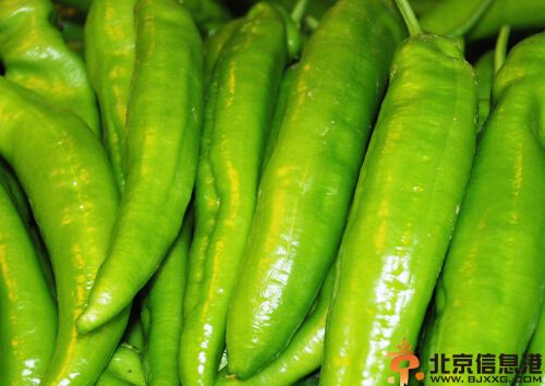 瘦腿霜有副作用吗 自制瘦腿霜更健康