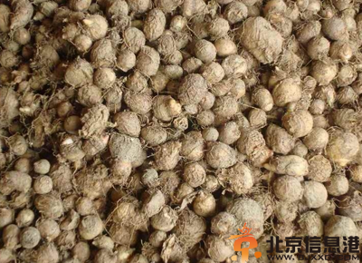 中草药半夏功效有哪些 盘点半夏的功效和作用