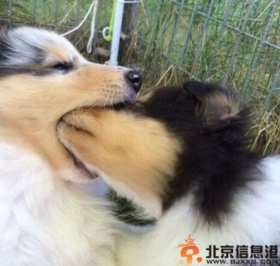 搞笑图片好形象的雕塑 这是个有故事的妹子