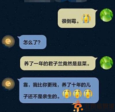 搞笑图片比比谁更惨 叫呵呵呵的新娘真特别