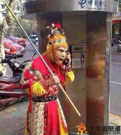 亮点图好牛逼的齐天大圣 和葫芦关系匪浅的萝卜