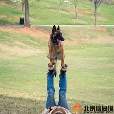 亮点图好牛逼的齐天大圣 和葫芦关系匪浅的萝卜
