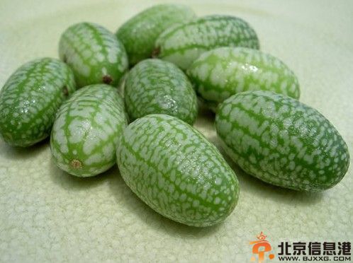 世界上最小的西瓜图片 一口一个价格不菲