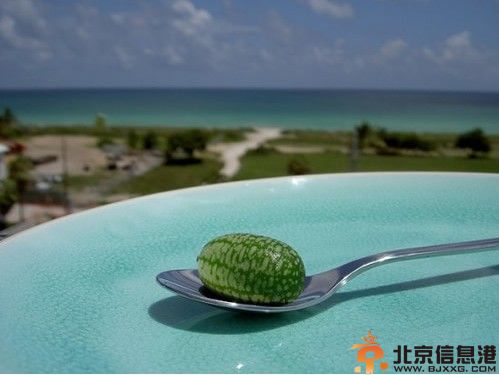 世界上最小的西瓜图片 一口一个价格不菲