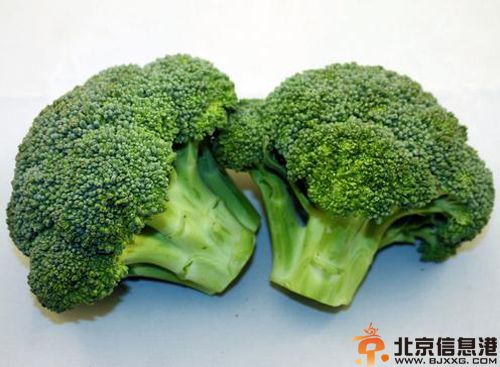 西兰花的<a href='http://www.bjxxg.cn/baby/yingyang/' target='_blank'><u>营养</u></a>价值分析 解析其功效与作用